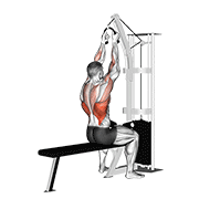 Cable lateral pulldown (with rope attachment) demonstration