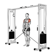 Cable lateral raise demonstration