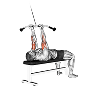 Cable lying close-grip curl demonstration