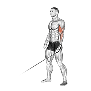 Cable one arm curl demonstration