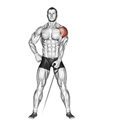 Cable one arm lateral raise demonstration