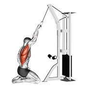 Cable one arm straight back high row (kneeling) demonstration