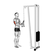 Cable pushdown (with rope attachment) demonstration