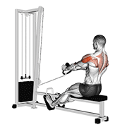 Cable rear delt row (stirrups) demonstration