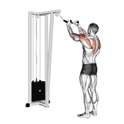 Cable rear delt row (with rope) demonstration