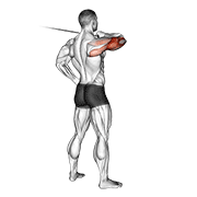 Cable rear drive demonstration