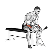 Cable reverse wrist curl demonstration