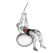 Cable russian twists (on stability ball) demonstration