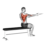 Cable seated one arm alternate row demonstration