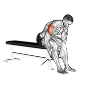 Cable seated rear lateral raise demonstration