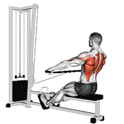Cable seated wide-grip row demonstration