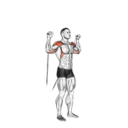 Cable shoulder press demonstration