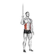 Cable side crunch demonstration