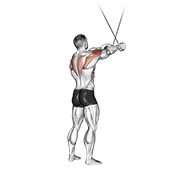 Cable standing cross-over high reverse fly demonstration