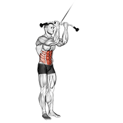 Cable standing crunch demonstration