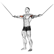 Cable standing inner curl demonstration