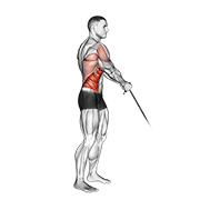 Cable standing lift demonstration