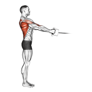 Cable standing row (v-bar) demonstration