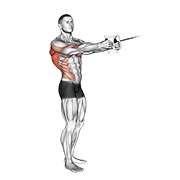 Cable standing twist row (v-bar) demonstration