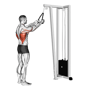 Cable straight arm pulldown (with rope) demonstration