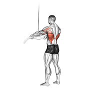 Cable straight arm pulldown demonstration