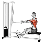 Cable straight back seated row demonstration