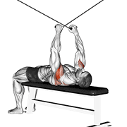 Cable supine reverse fly demonstration