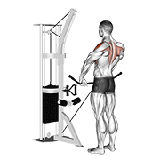 Cable upright row demonstration