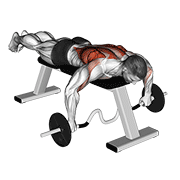 Cambered bar lying row demonstration