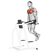Chest dip demonstration