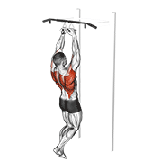 Chin-ups (narrow parallel grip) demonstration