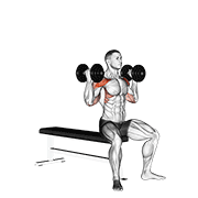 Dumbbell arnold press v. 2 demonstration