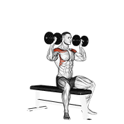 Dumbbell bench seated press demonstration
