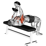 Dumbbell close-grip press demonstration