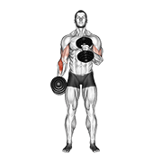 Dumbbell cross body hammer curl demonstration