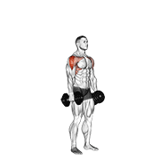 Dumbbell cuban press demonstration