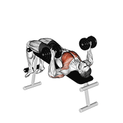 Dumbbell decline bench press demonstration