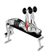 Dumbbell decline triceps extension demonstration