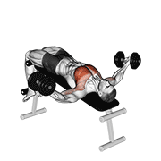 Dumbbell decline twist fly demonstration