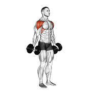 Dumbbell full can lateral raise demonstration