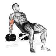 Dumbbell incline biceps curl demonstration