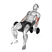 Dumbbell incline curl v. 2 demonstration