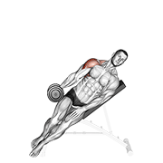 Dumbbell incline one arm lateral raise demonstration