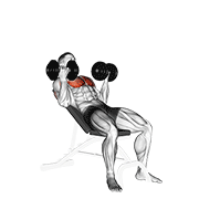 Dumbbell incline palm-in press demonstration