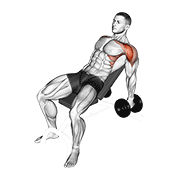 Dumbbell incline raise demonstration