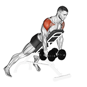 Dumbbell incline rear lateral raise demonstration
