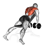 Dumbbell incline row demonstration