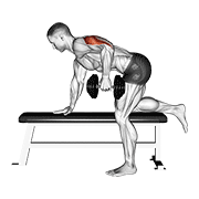 Dumbbell kickback demonstration