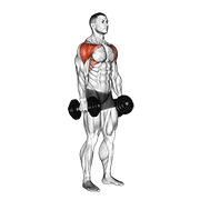 Dumbbell lateral to front raise demonstration