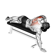 Dumbbell lying one arm deltoid rear demonstration